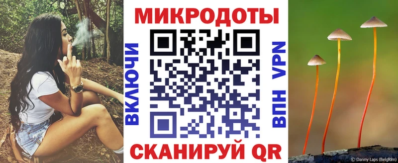 Псилоцибиновые грибы Psilocybe  Купить  Котово 